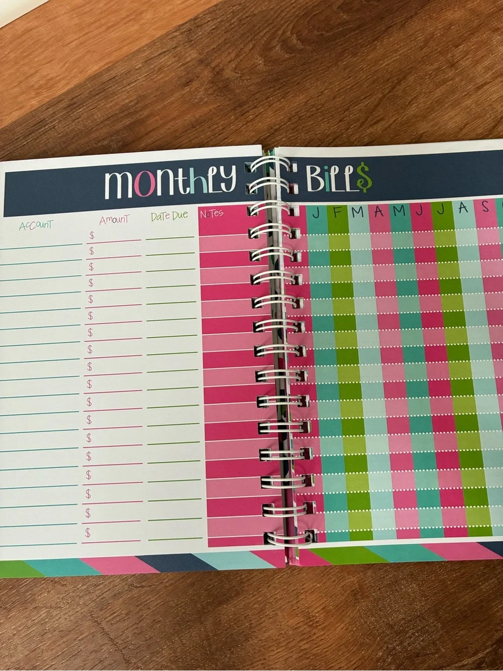 Denise Albright 12-Month Budget Planner, Bill & Expense Tracker, Undated, NWT